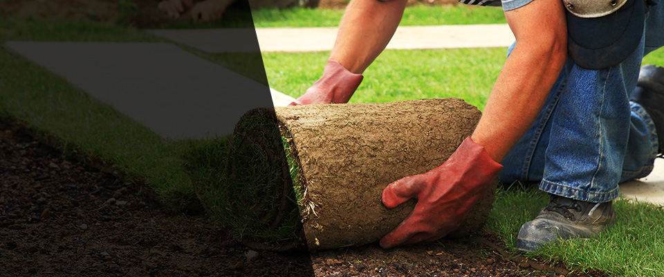 Reese Landscapers